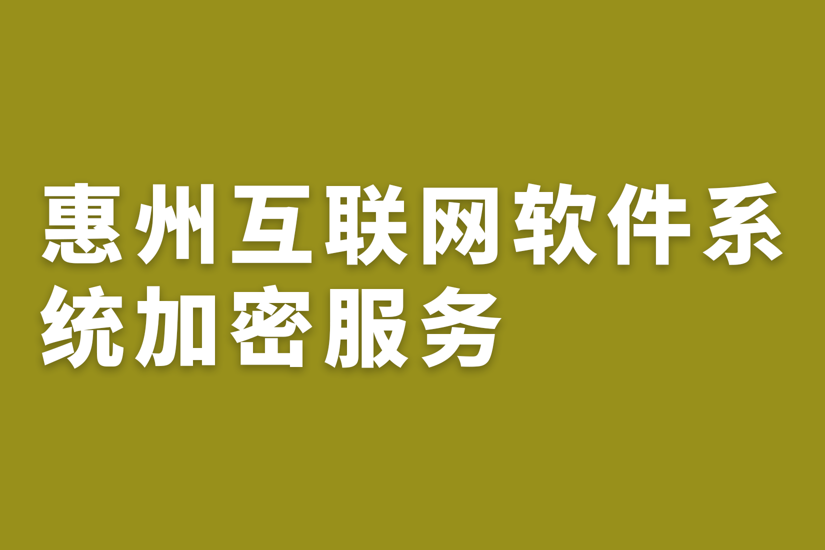 惠州互联网软件系统加密服务